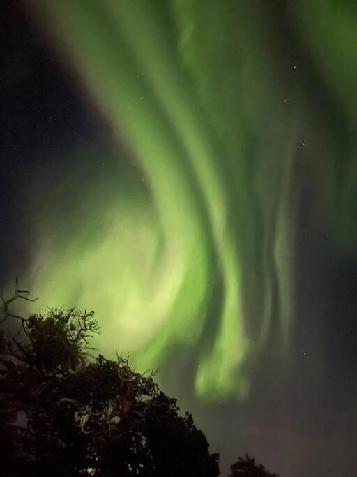 Leilighet I Rolig Gate Med Utsikt Og Gratis Parkering Tromsø Exteriör bild