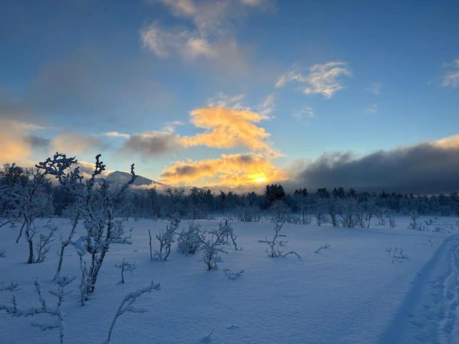 Leilighet I Rolig Gate Med Utsikt Og Gratis Parkering Tromsø Exteriör bild